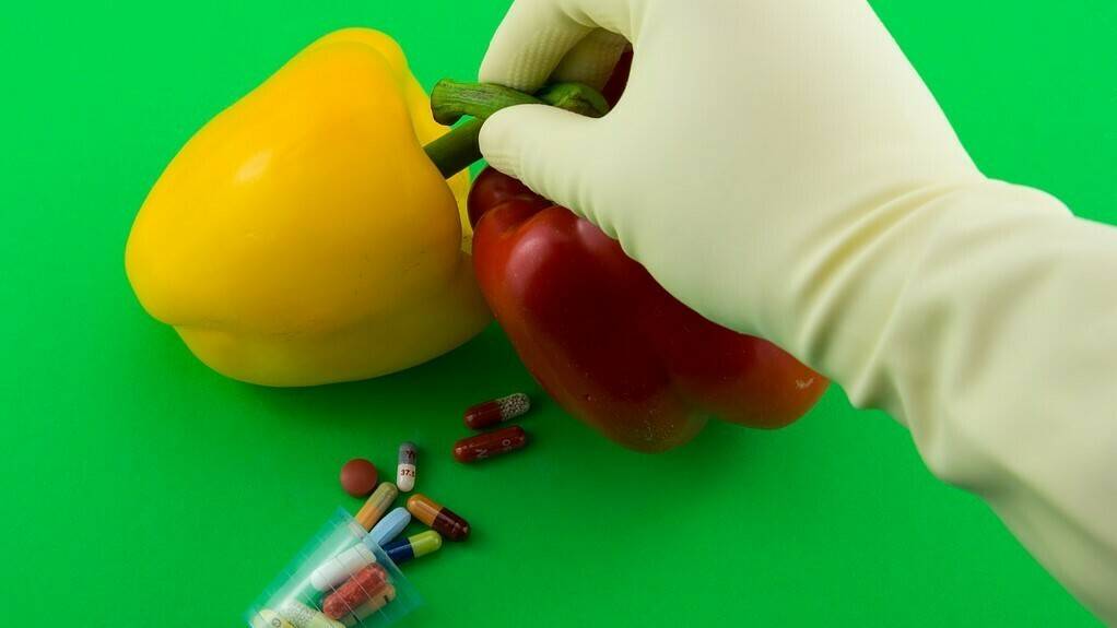 pimientos-biotecnologia-16x9|Prospección de la Agricultura española 2050 002 ponentes sesion 1